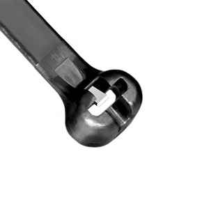 BT4I-C0 Image