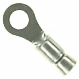 323199 Image