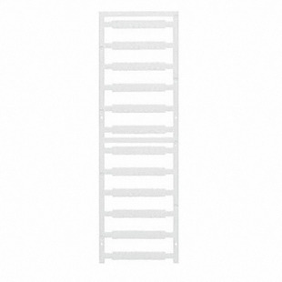 1951870000 Image