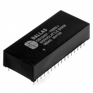 DS1250Y-100IND Image