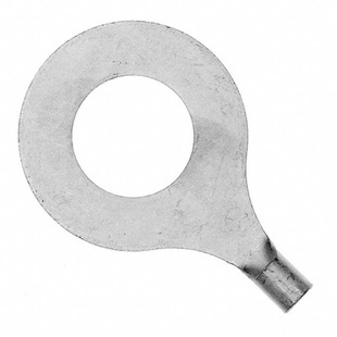 320764 Image