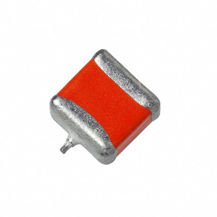595D105X9050B2T Image