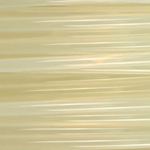 RM-PL0098 Image
