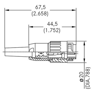 T 3429 501 Image